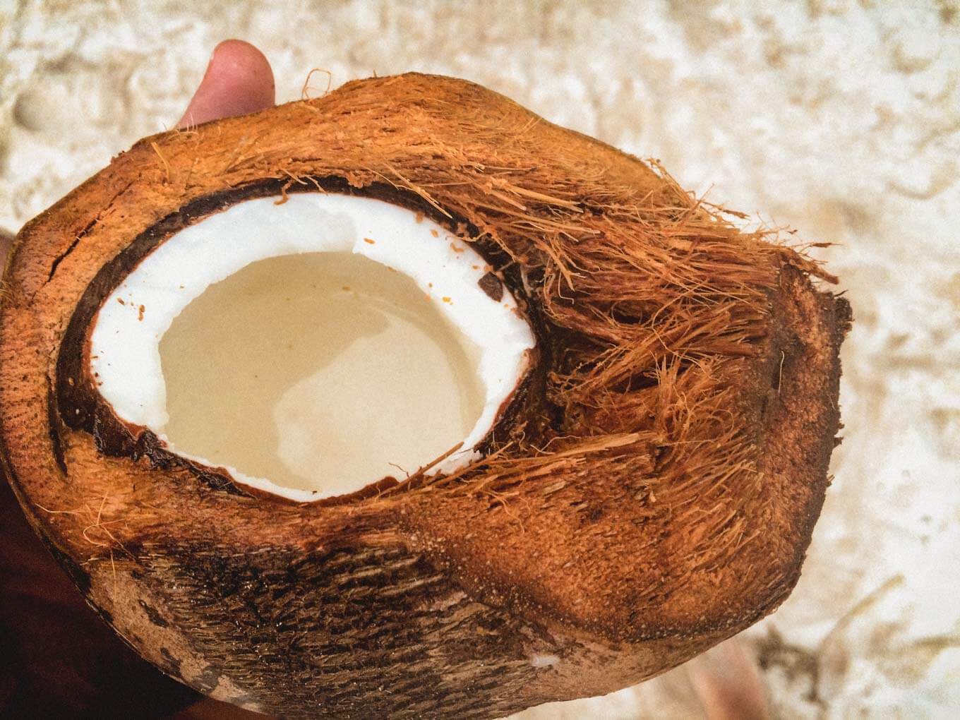 San Blas Islands Coconuts