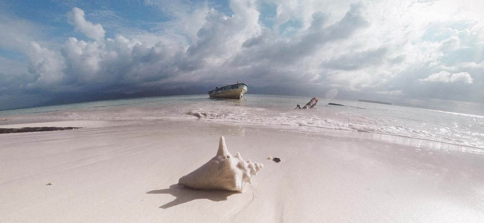 San Blas Islands Pelican island