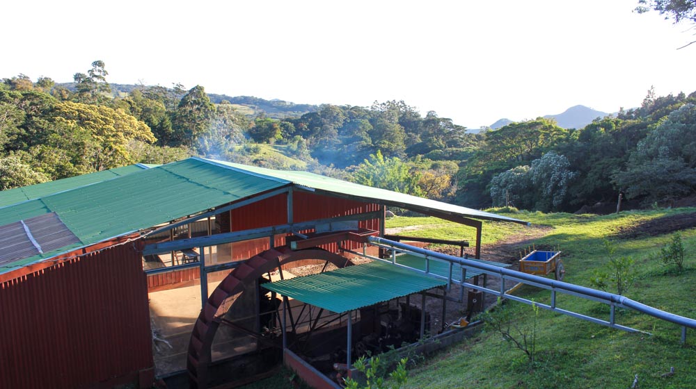 Three days guide to Monteverde Cloud Forest Reserve - the lush escape of Costa Rica coffee farm
