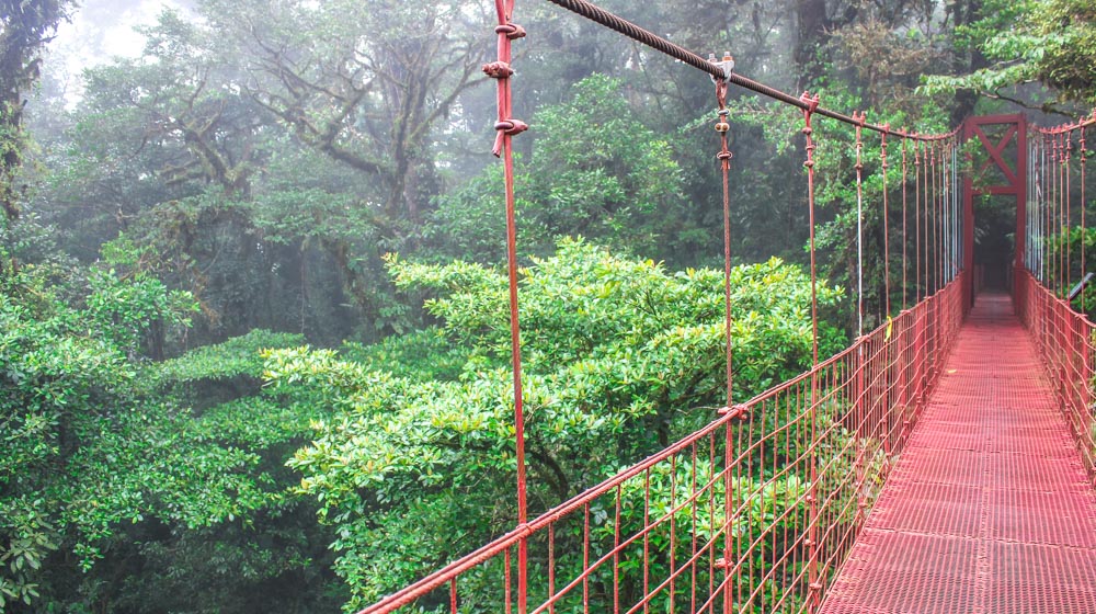 monteverde hanging bridge (1 of 1)