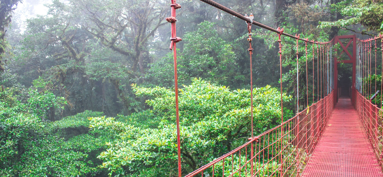Four day guide to Monteverde Cloud Forest Reserve - the