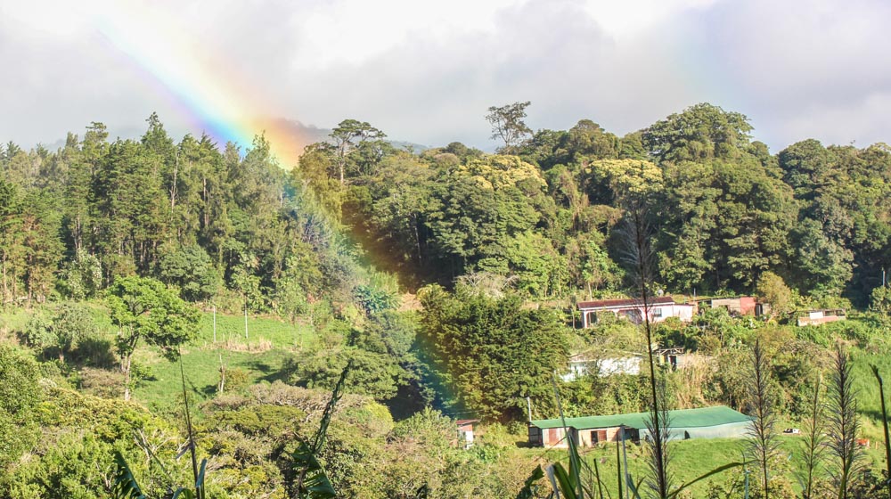 Three days guide to Monteverde Cloud Forest Reserve - the lush escape of Costa Rica 