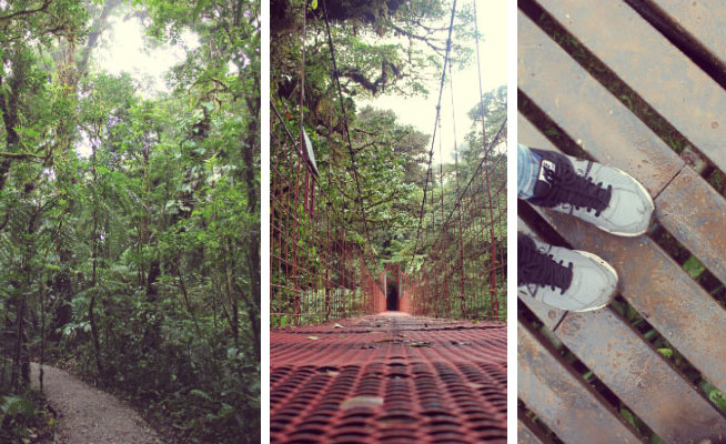 Three days guide to Monteverde Cloud Forest Reserve - the lush escape of Costa Rica 