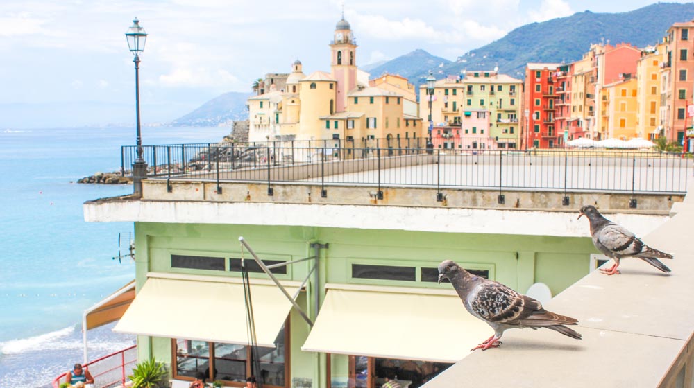 How To Spend Vacation in Fishing Village Camogli Italy