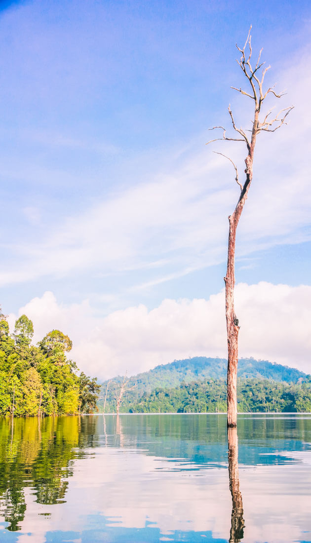 Khao Sok National Park 