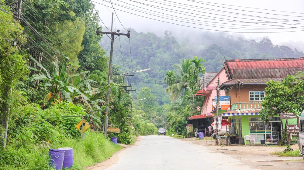 khao sok jungle