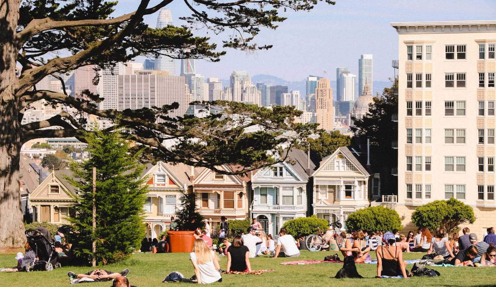 Dear California, San Francisco pink ladies