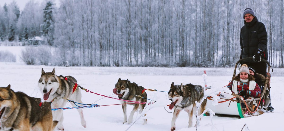 husky safari near Helsinki 