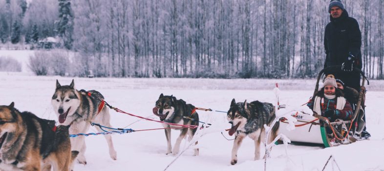 Unforgettable Husky Safari Finland Adventure Ride-2