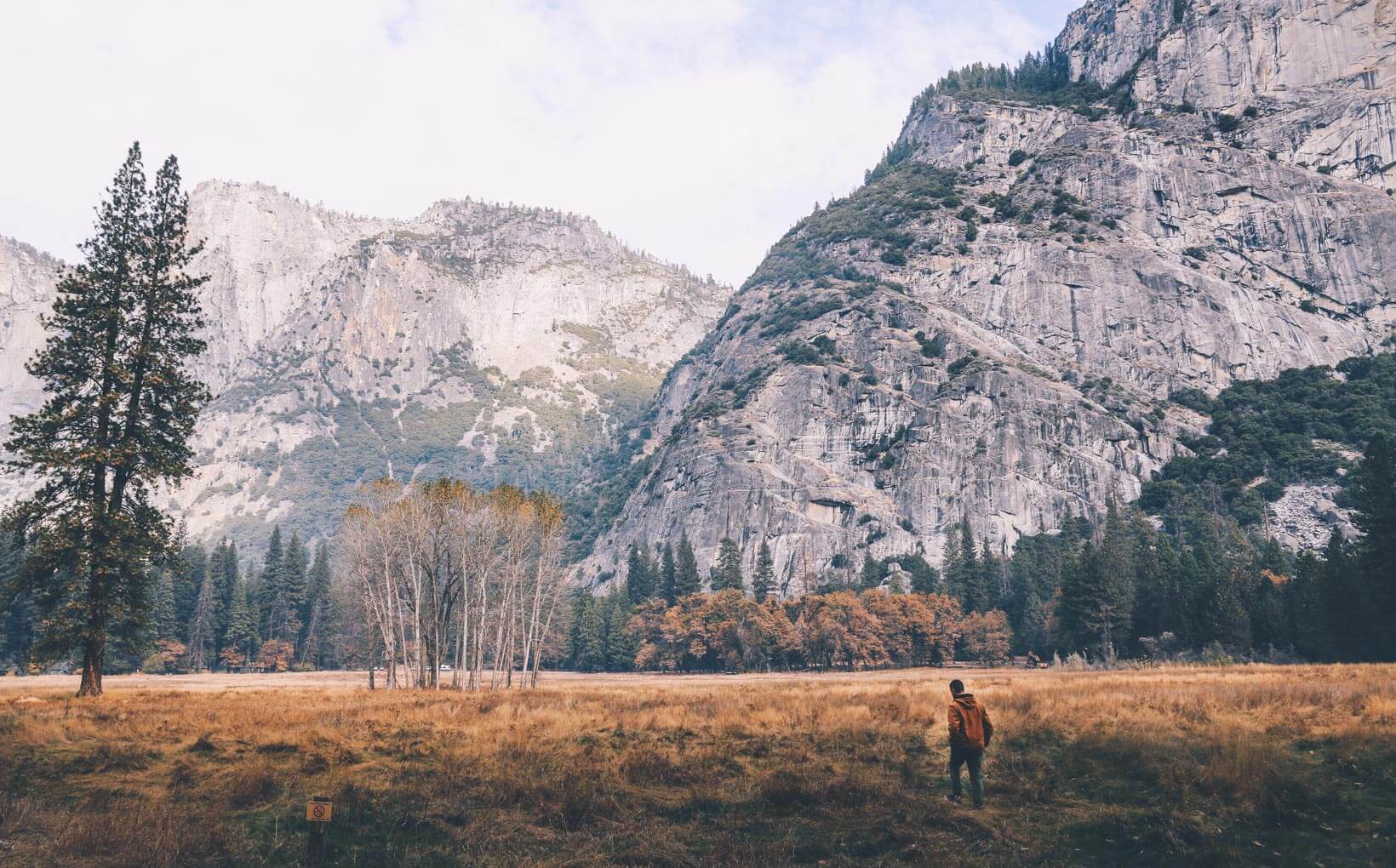 American Dream Experiment Yosemite-2