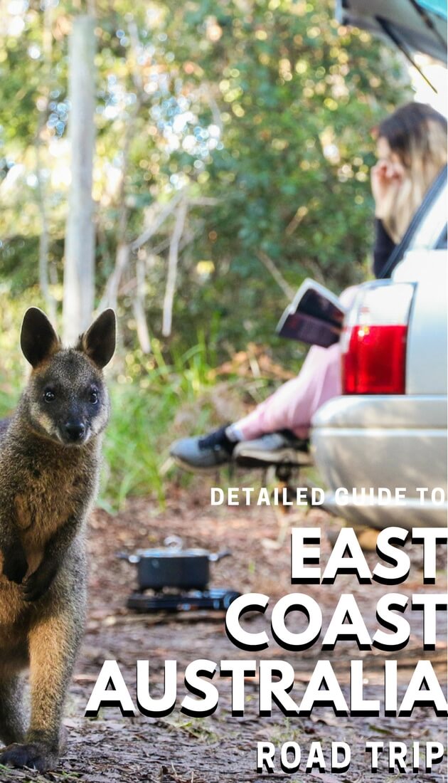 Detailed Guide to East Coast Australia Road trip, including East Coast Australia itinerary, Car hire in Australia tips, safety on the road, the road trip australia cost. #Australia #EastCoast #Roadtrip 