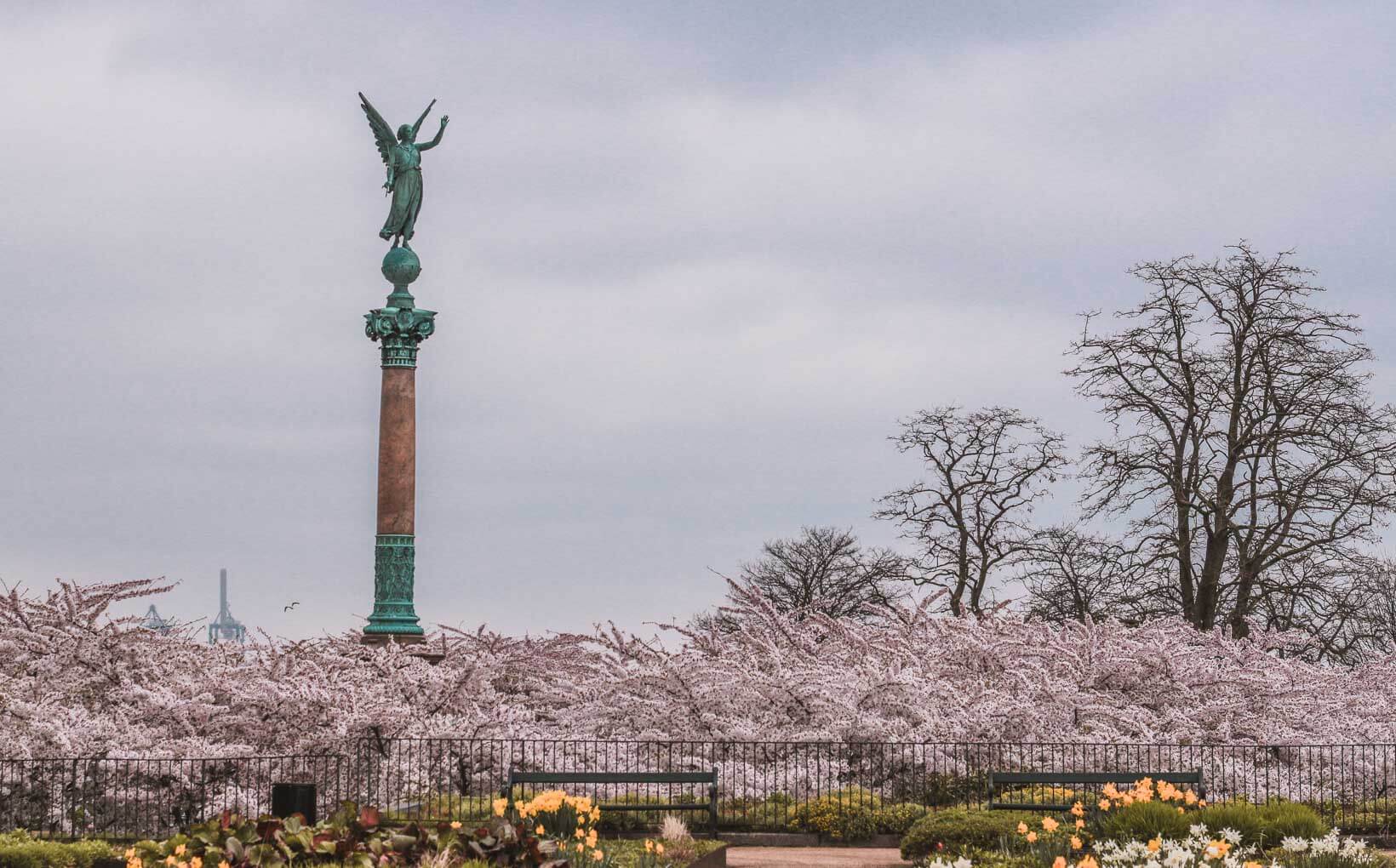 Langelinie Park Harbor Where to find cherry blossoms in Copenhagen_