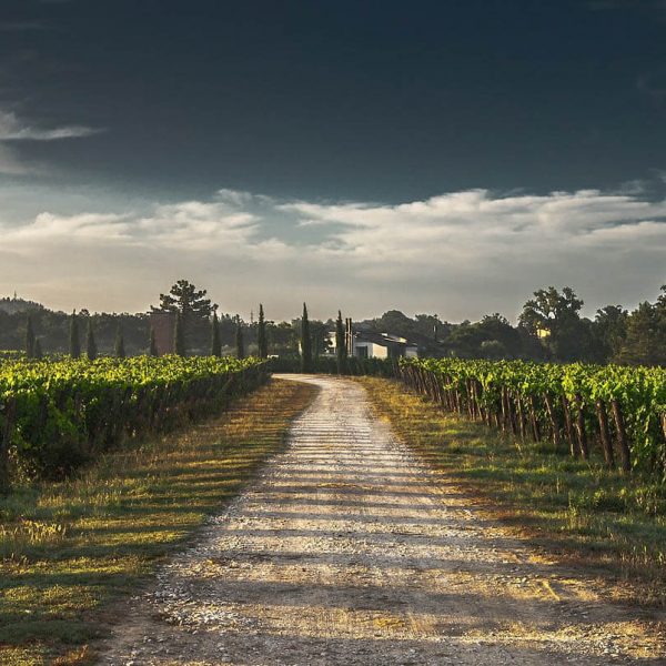 Tuscany Wine Tasting Tours
