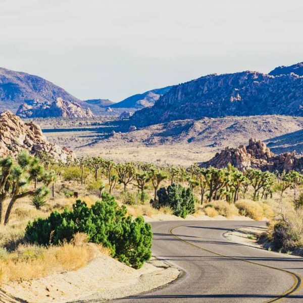 Best Hikes in California