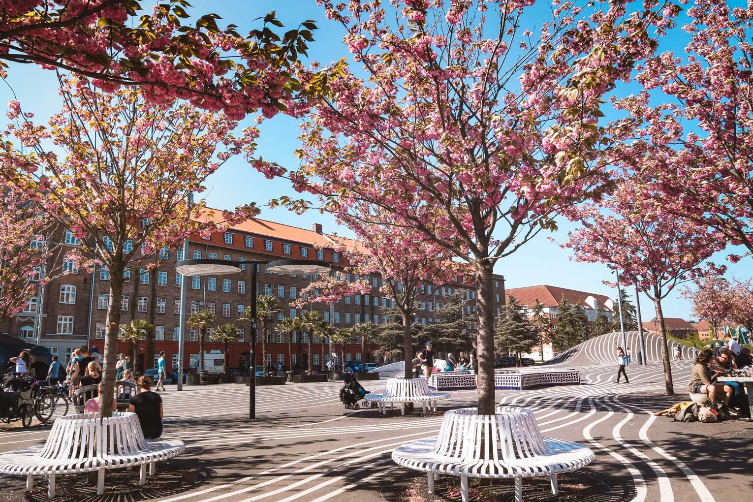 Sorte Plads, Fun Way to Explore Norrebro, Copenhagen's Alternative Neighborhood-