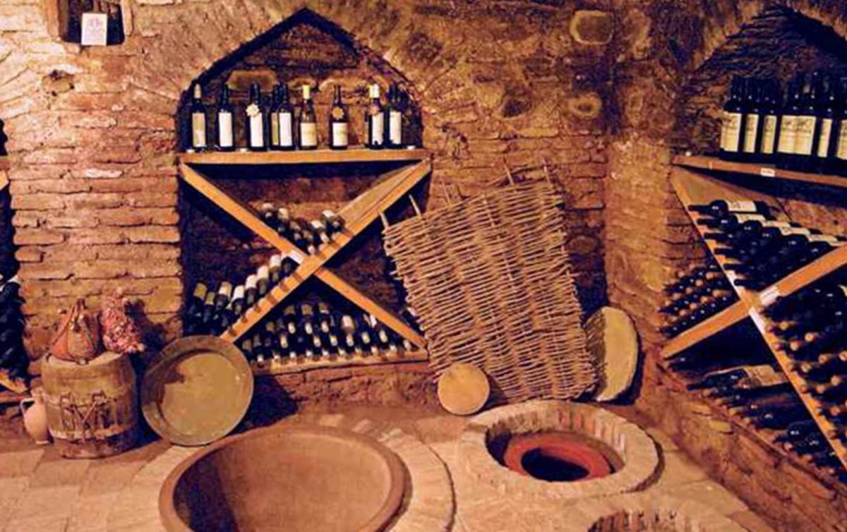 The Best Wine Tour in Travel Monkey