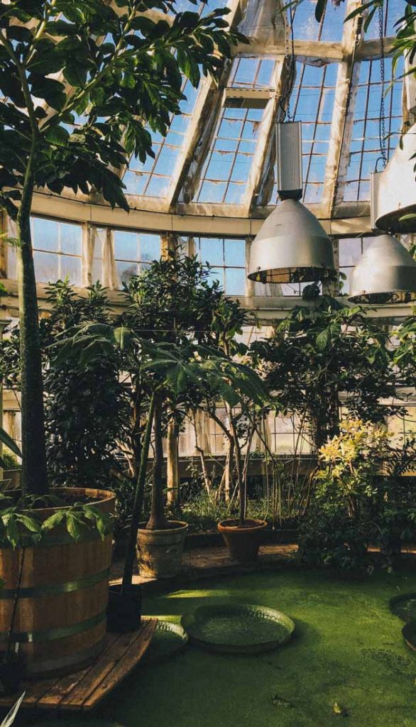 Botanical Gardens / One Day in Copenhagen Itinerary