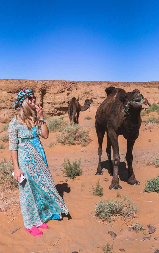 Merzouga-desert-tour-camels-One-Week-Morocco-Itinerary-2