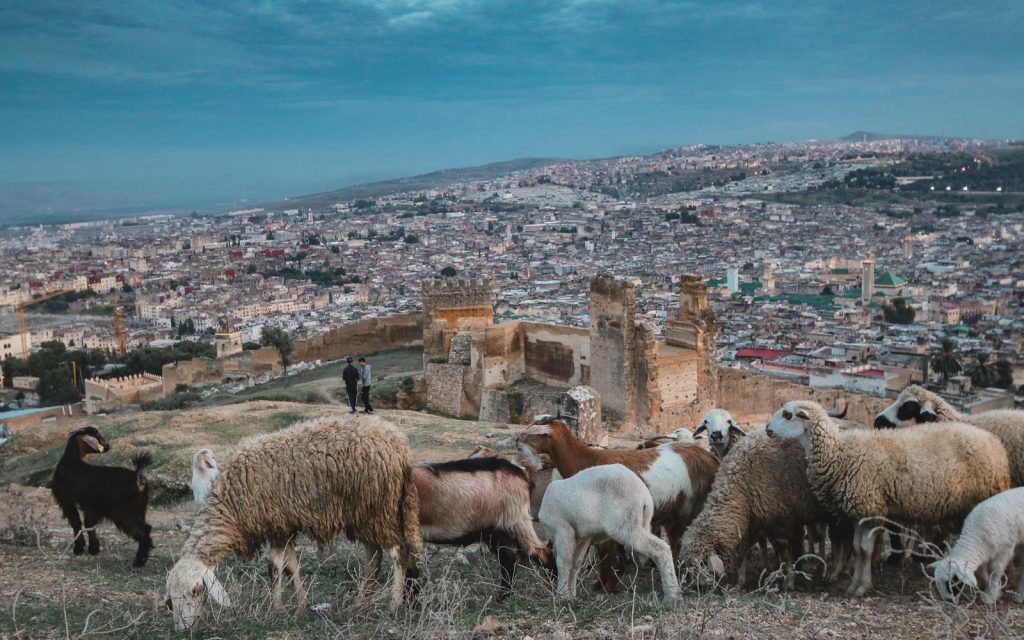 View-over-Fes