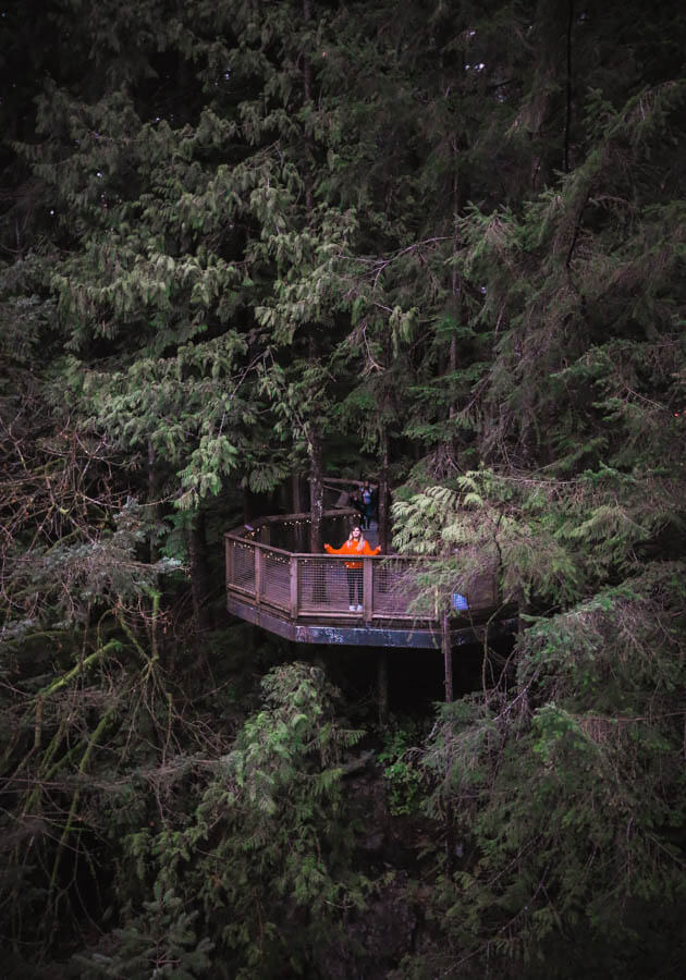 Capilano-Suspension-Bridge-Park