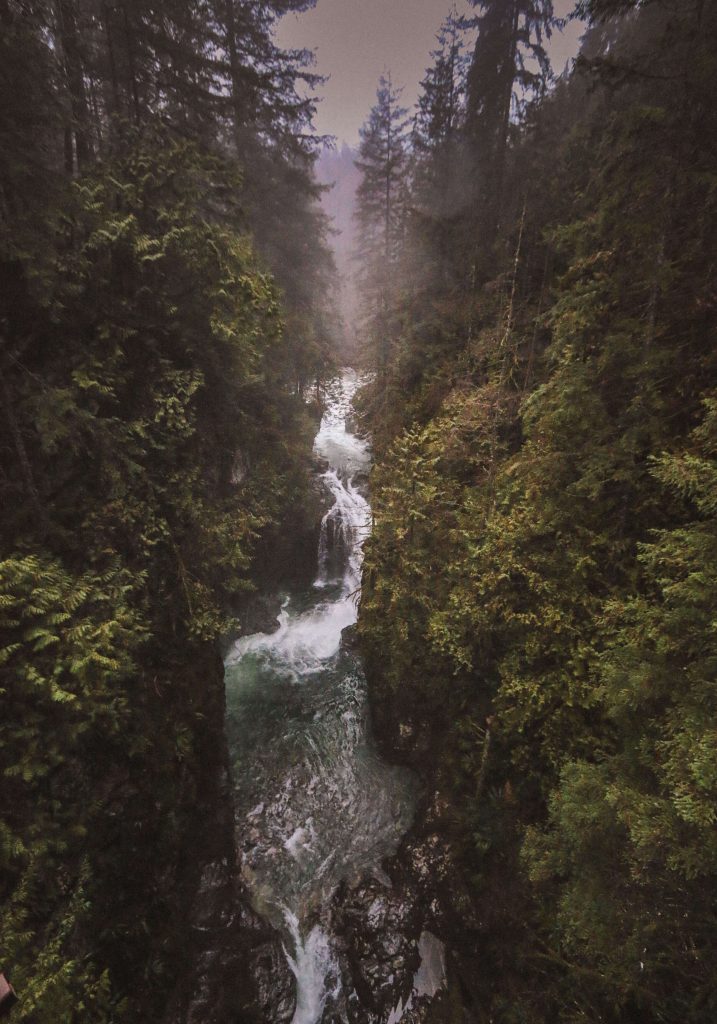 Lynn-Canyon-Waterfall-8-Awesome-Winter-Vancouver-Day-Trip-Ideas