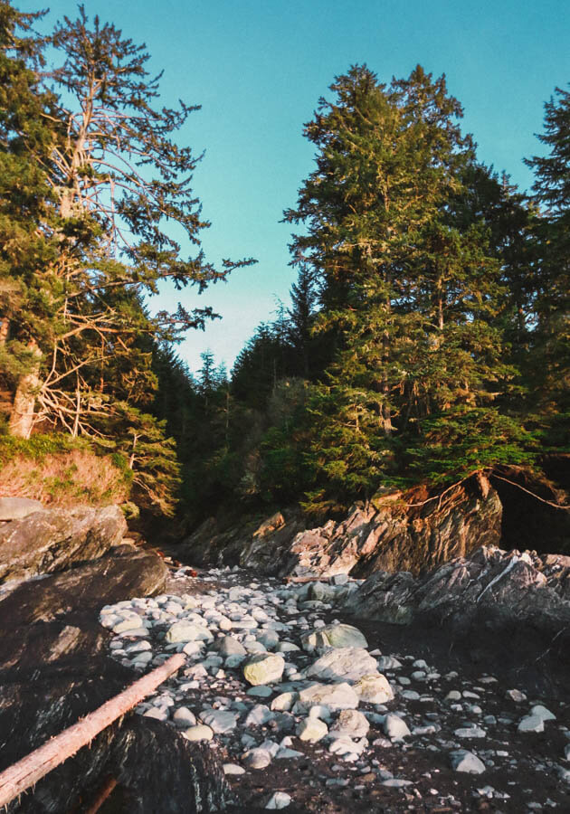 Vancouver-Island-Botanical-Beach-Provincial-Park-2