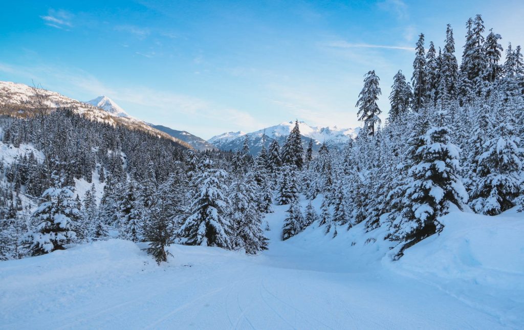 Whistler-winter-wonderland-1