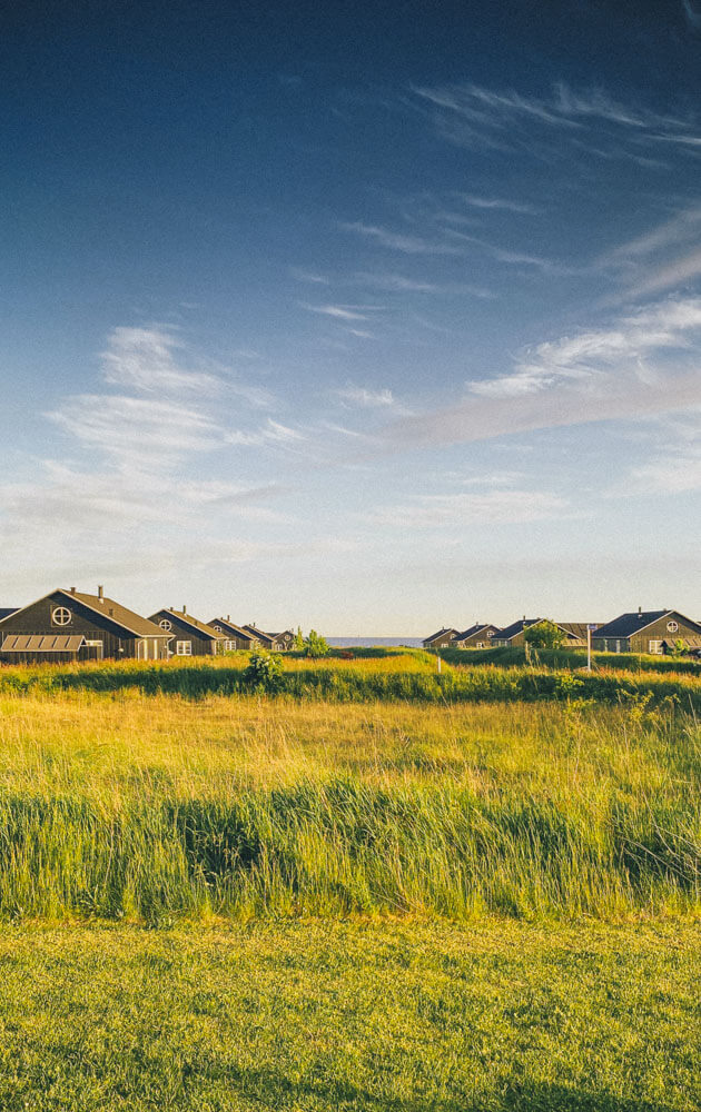 Summer-in-Denmark-Lolland