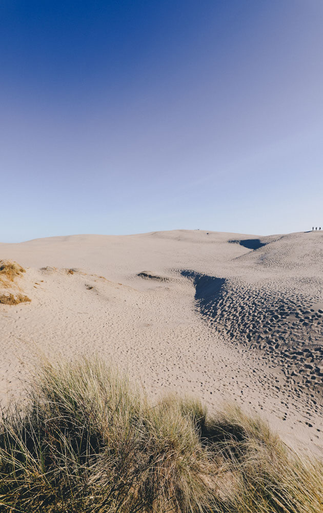 Summer-in-Denmark-Rubjerg-Mile