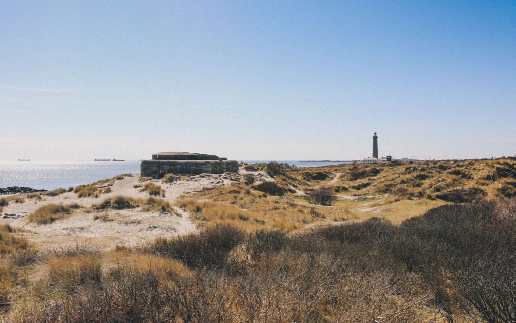 Skagen-Gray-Lighthouse