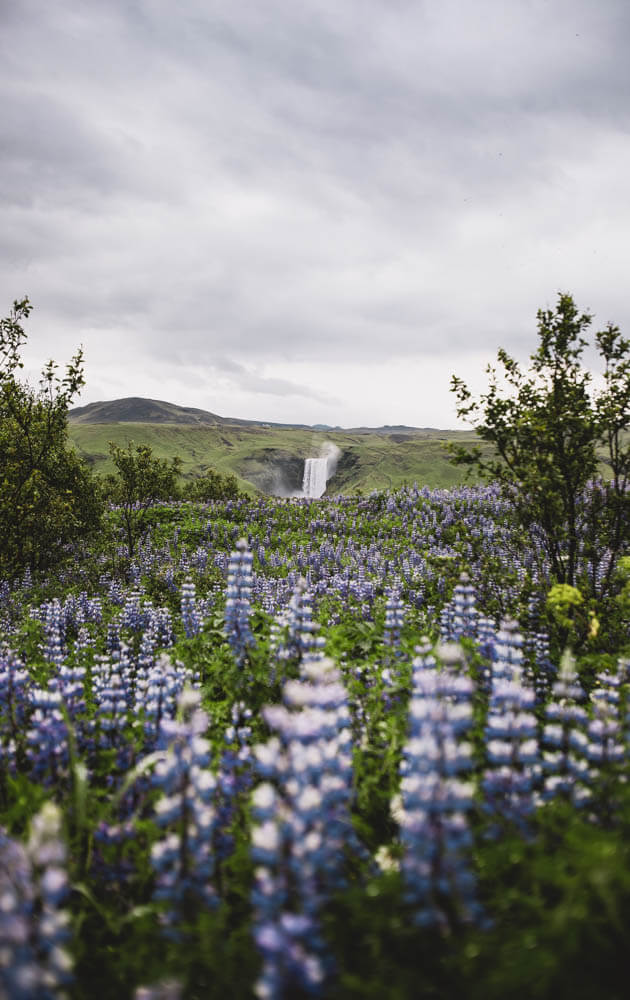 10-Days-Iceland-Itinerary-Skogafoss-2