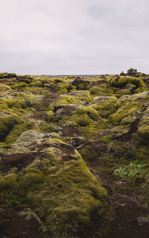 Eldhraun-lava-fields-Iceland-3