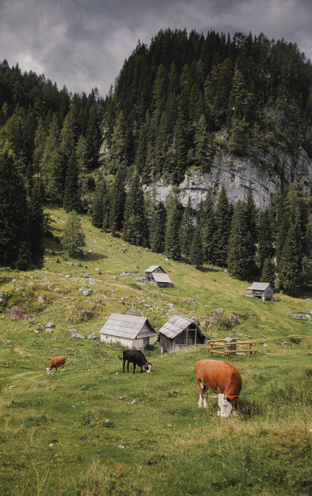 Slovenia-Itinerary-Triglav-National-Park-hike