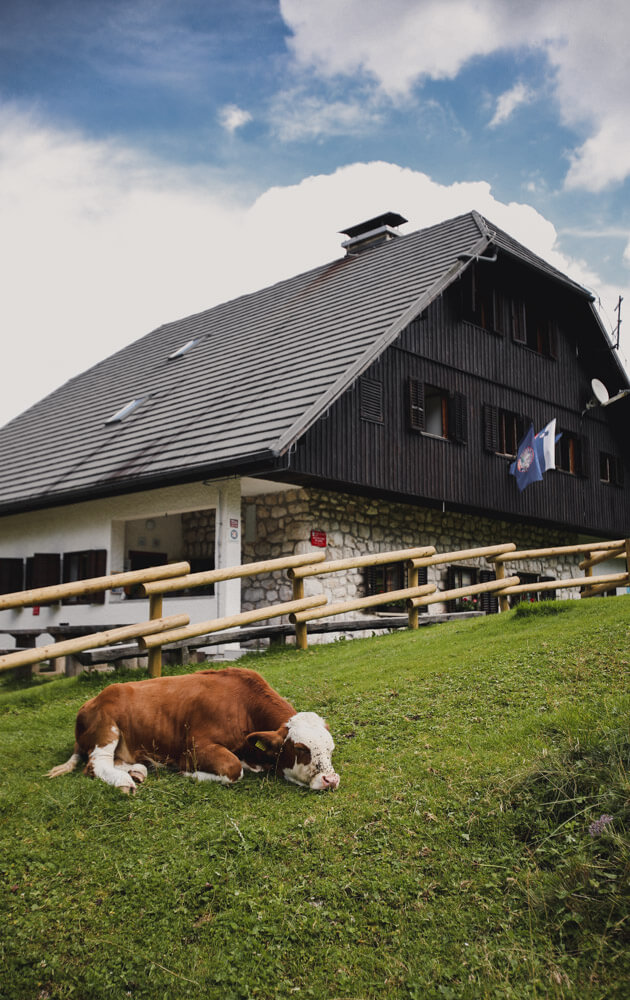 Slovenia-Itinerary-Triglav-National-Park-hike