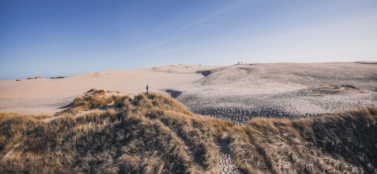 Beautiful Nature in Denmark - Råbjerg Mile-2