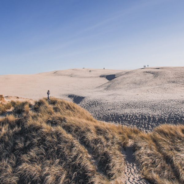 Beautiful Nature in Denmark - Råbjerg Mile-2