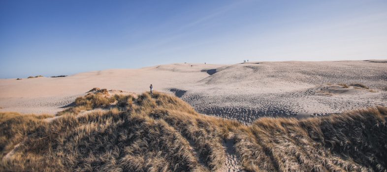 Beautiful Nature in Denmark - Råbjerg Mile-2