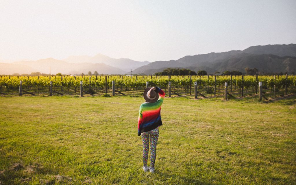 Marlborough-New-Zealand