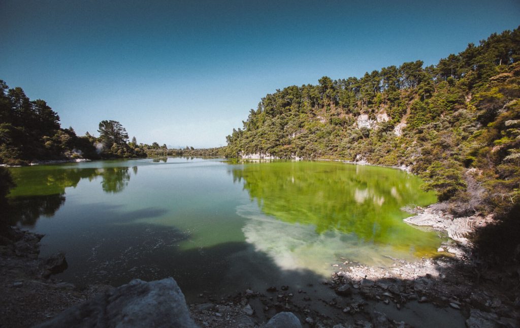 Wai-o-Tapu-National-Park-2