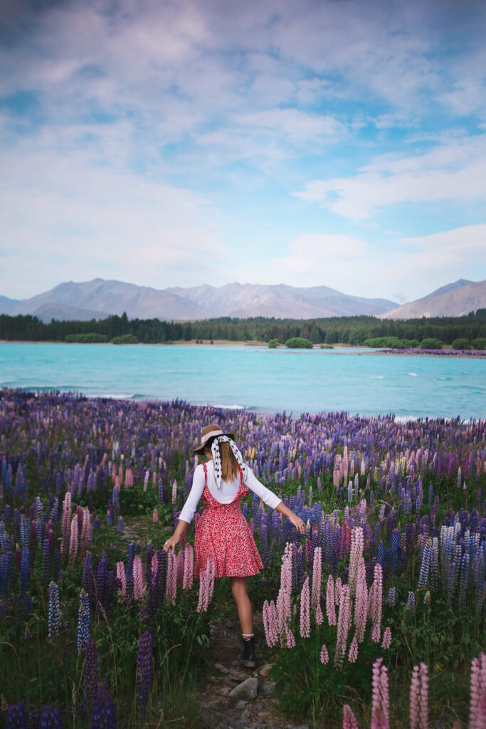 Lupins-New-Zealand-Lake-Tekapo-Traveller