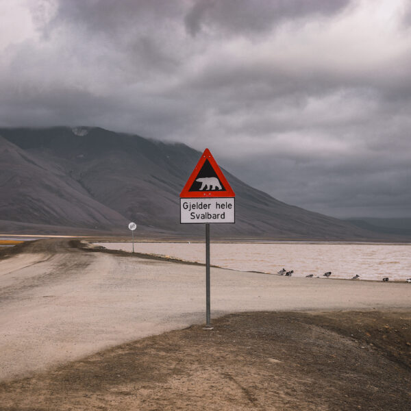 Svalbard Beware of Bears Sign